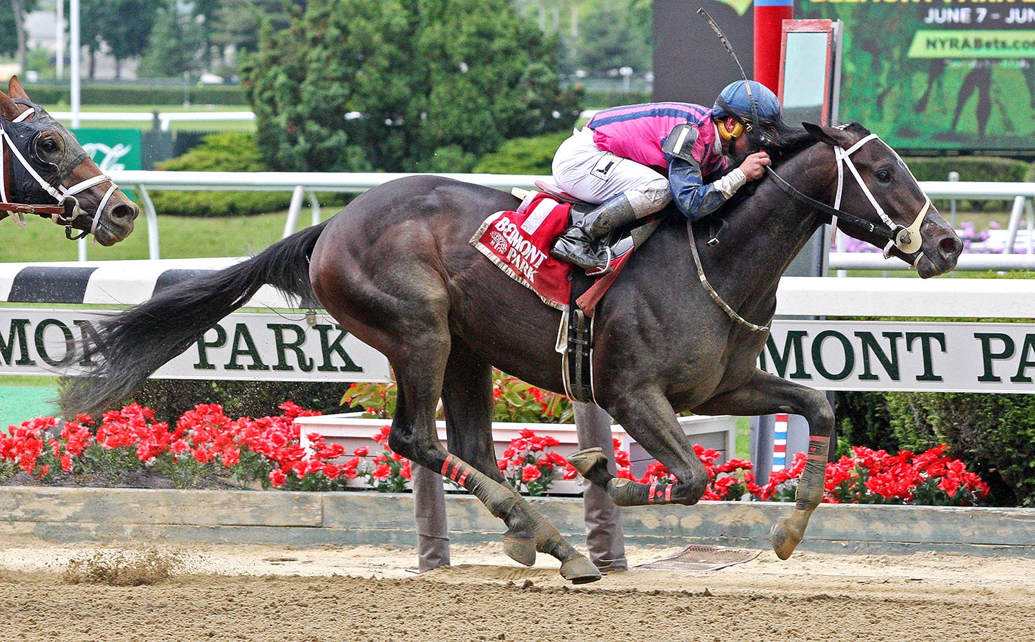 Our Braintrust rides the rail to win Tremont Stakes